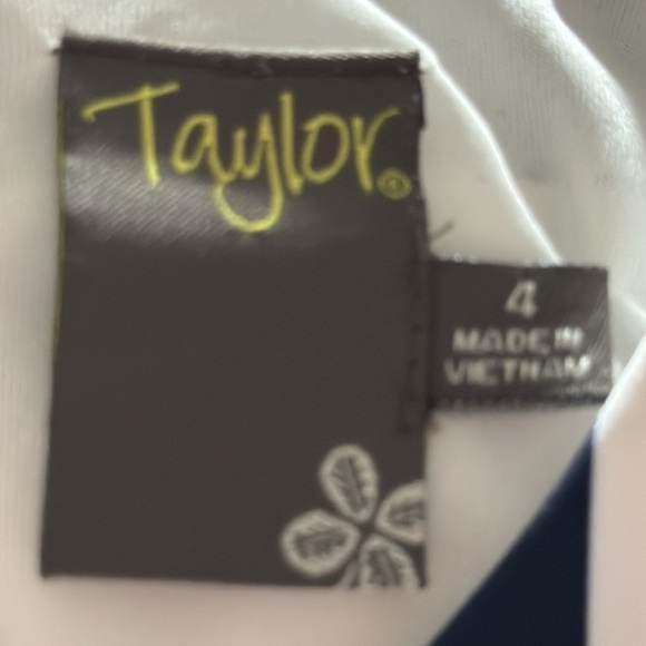 Taylor ivory dark blue geo stripes sleeveless fit silhouette dress Sz 4 - Picture 5 of 6